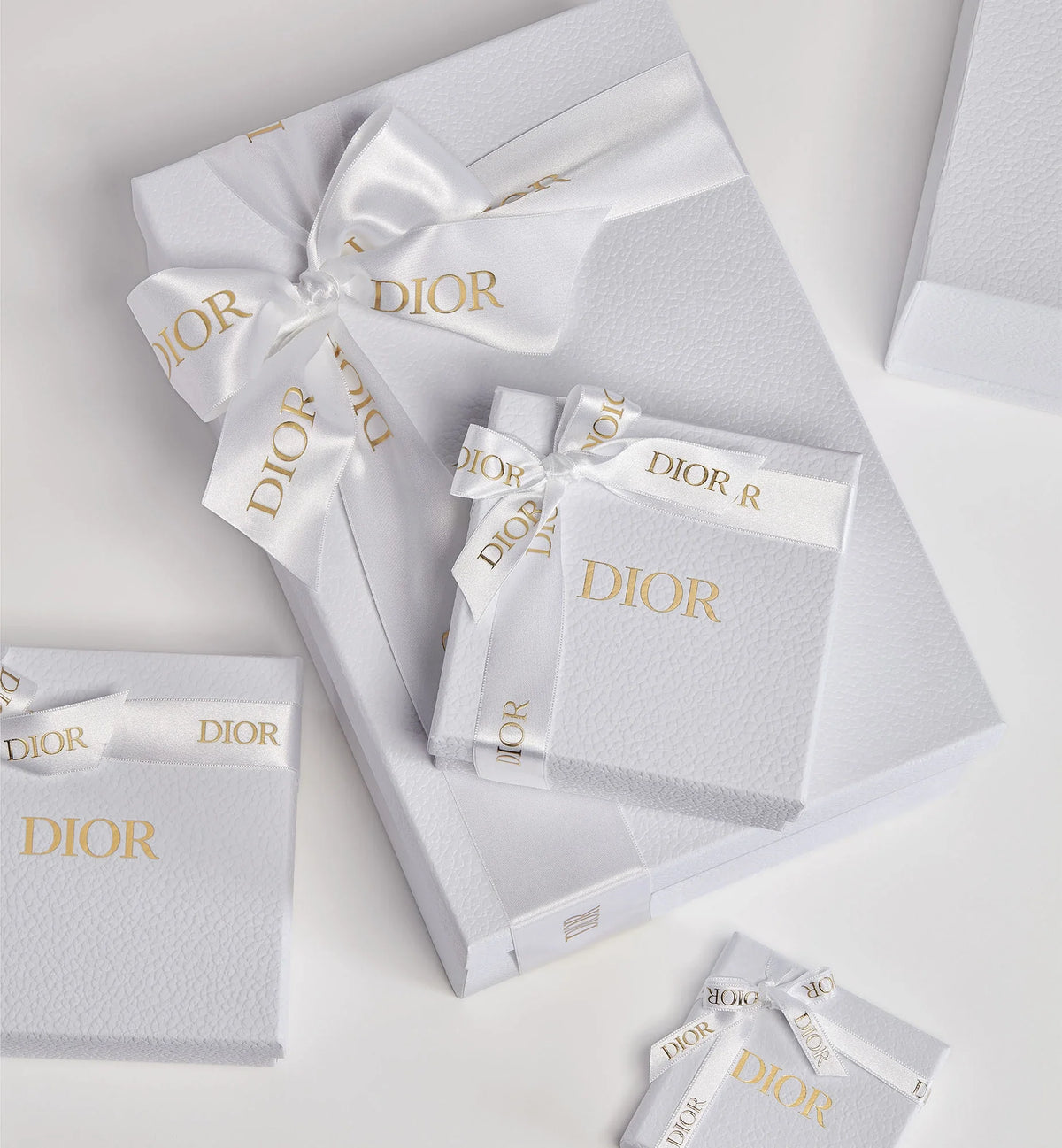 Dior Ballet Slingback Pump