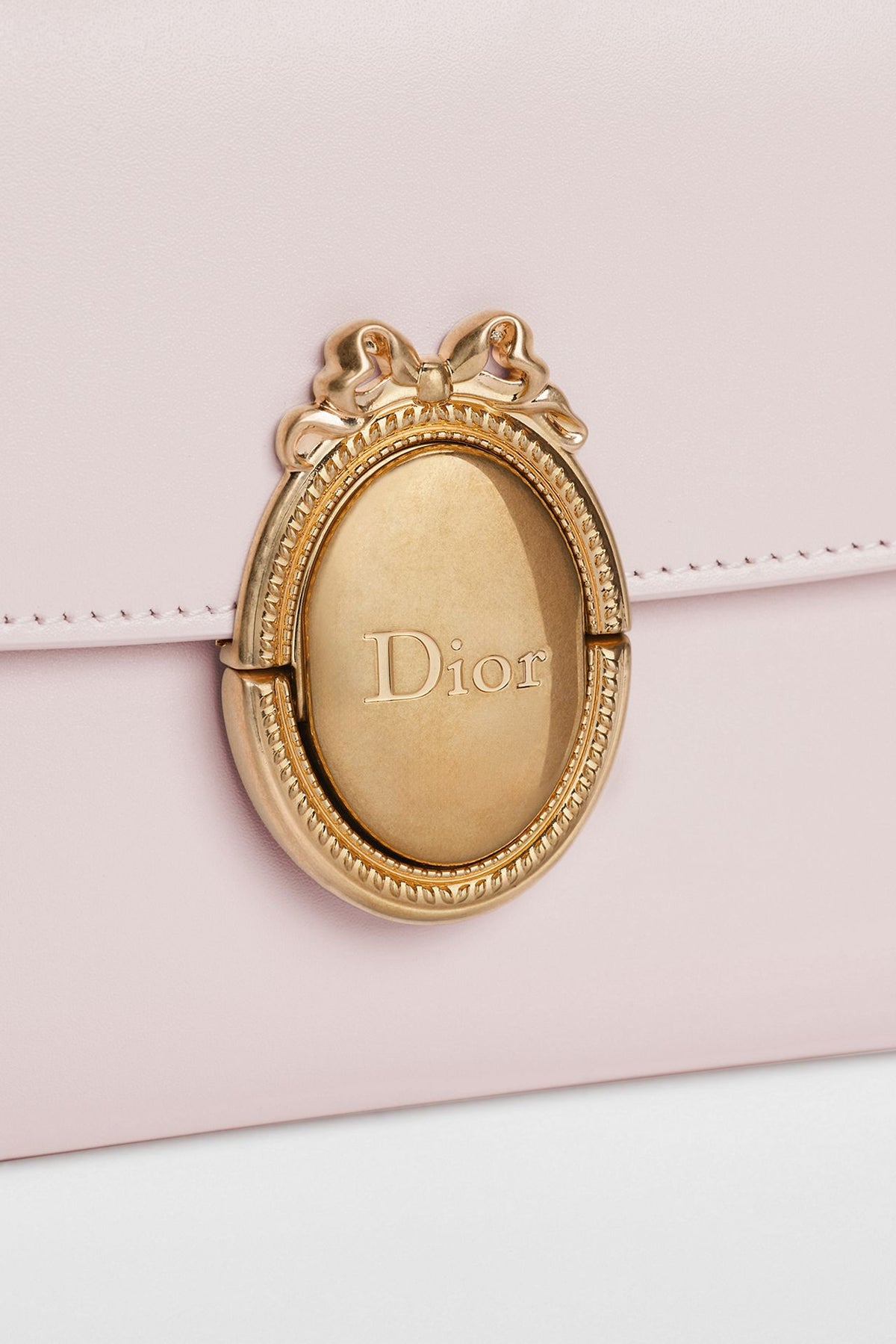 Dior Medallion Pouch