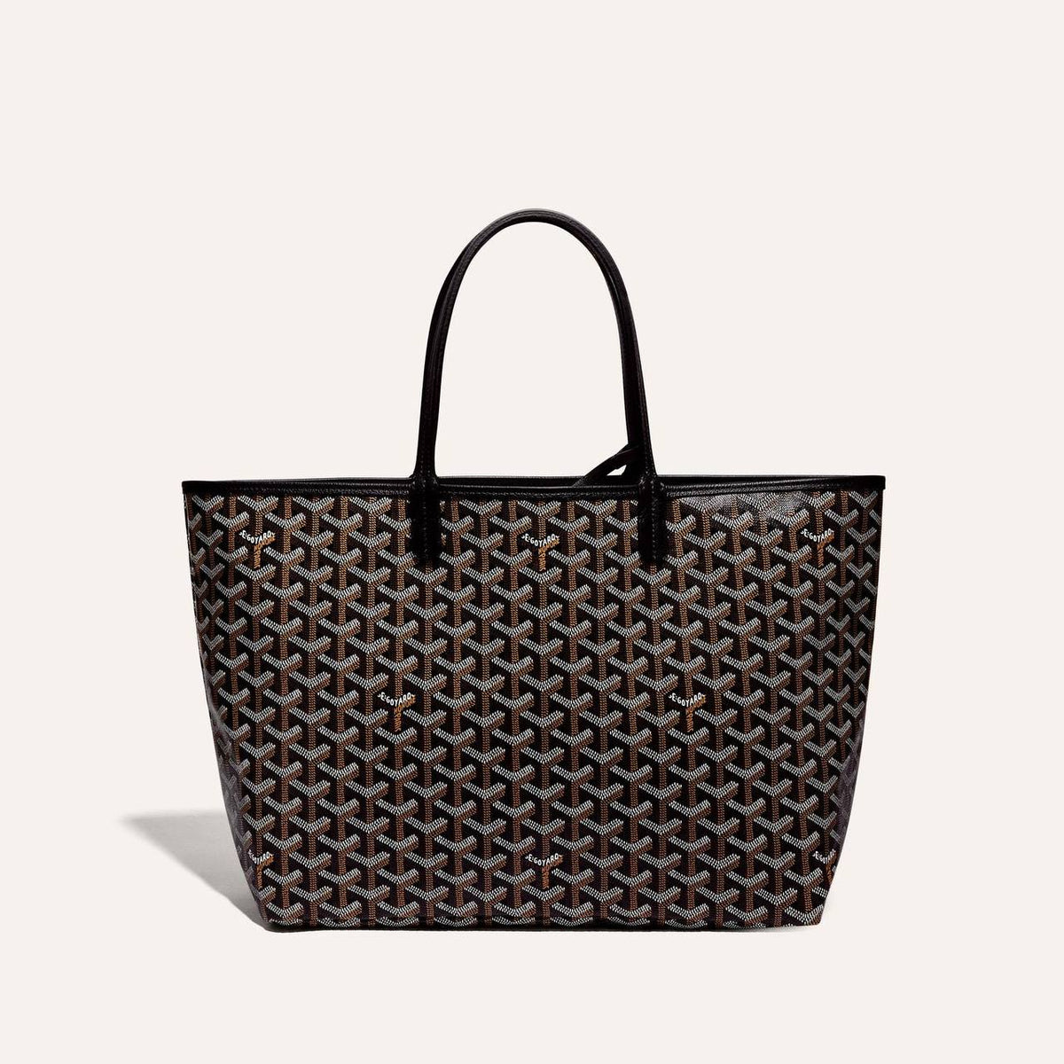 Goyard Saint Louis PM Bag